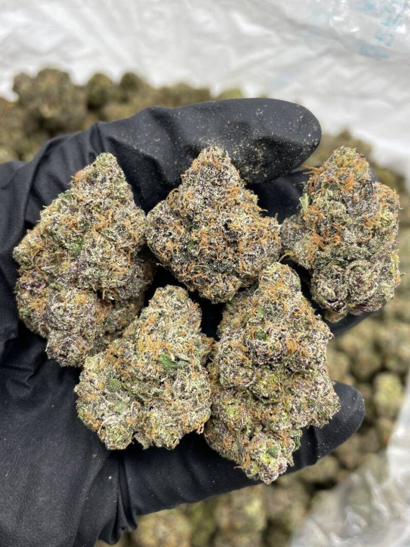 BUBBLEGUM POPPERS