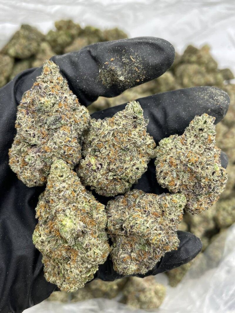 BLACK TRUFFLEZ