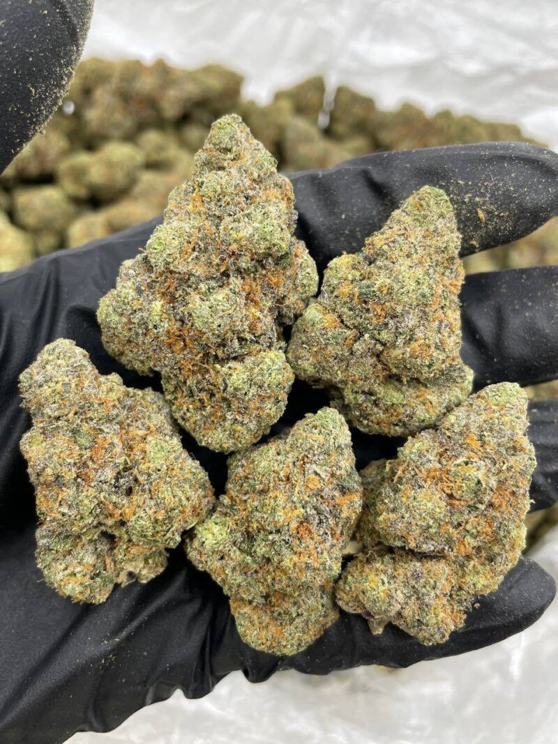 ORANGE CRUSH