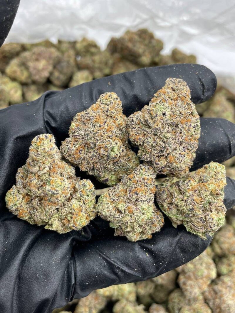 RAINBOW SPRINKLES