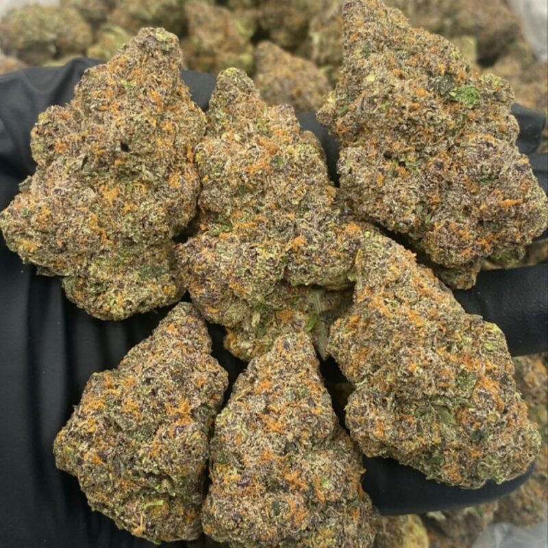 GUMBO GUMDROP