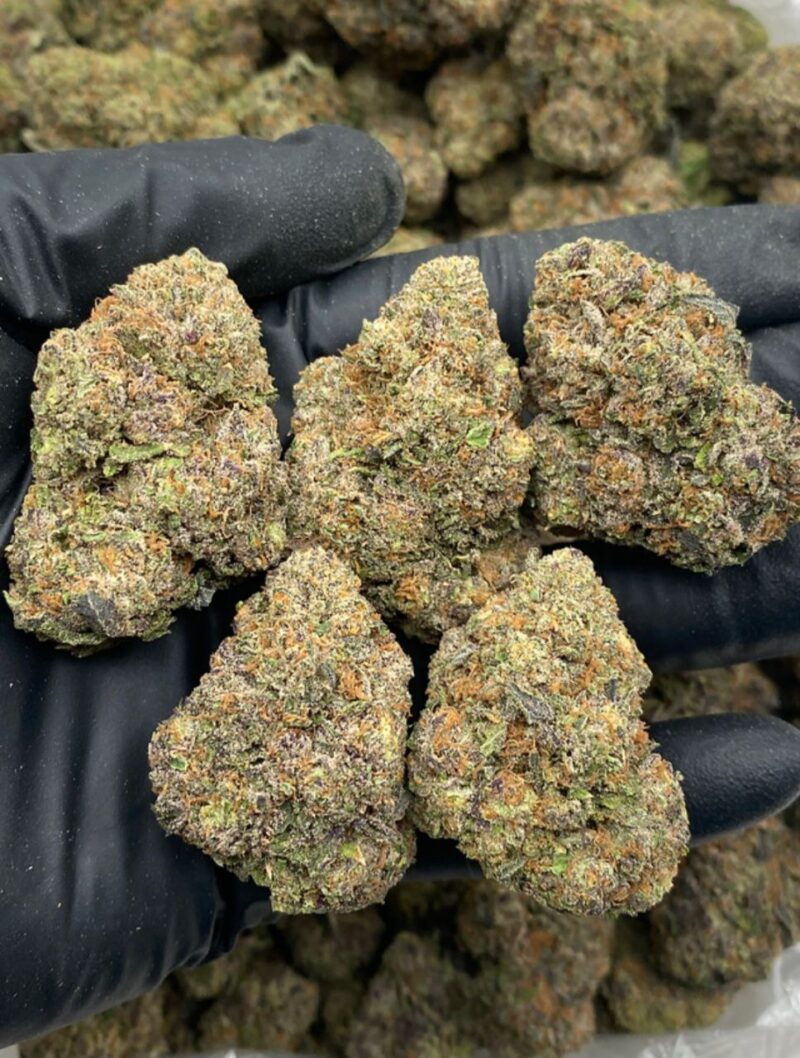 CANDY 41