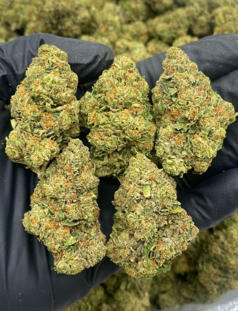 RASPBERRY GELATO